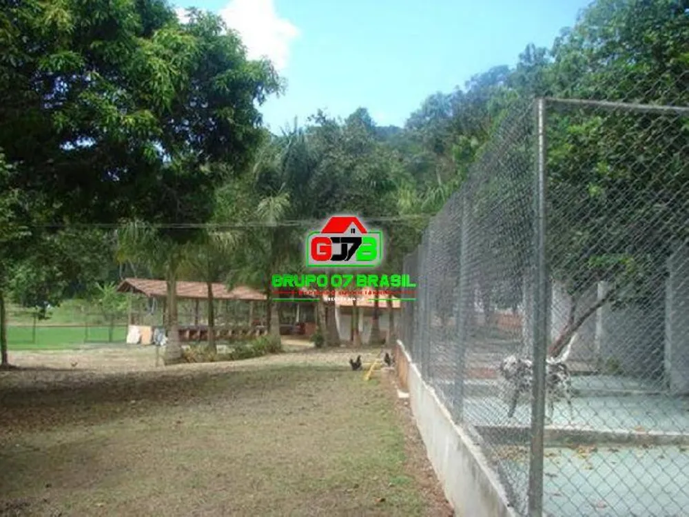 Fazenda, 85 hectares - Foto 3