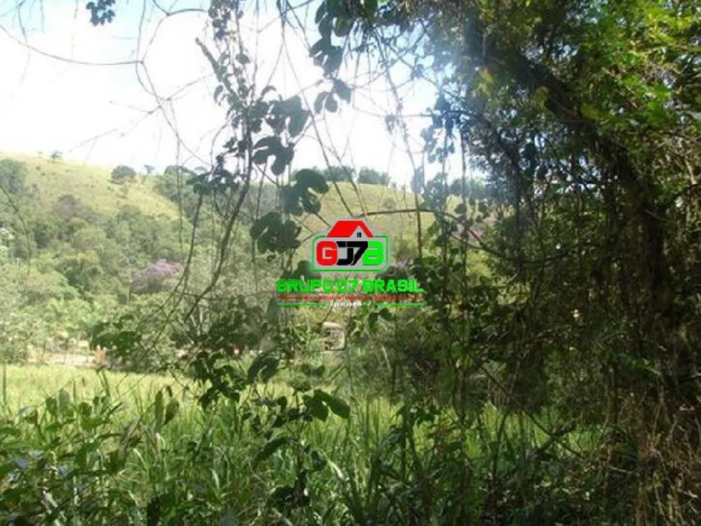 Fazenda, 85 hectares - Foto 7