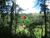Fazenda, 85 hectares - Foto 1