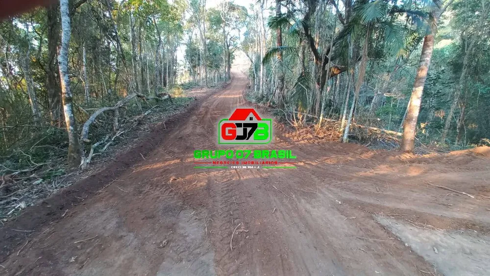 Terreno, 3 hectares - Foto 3