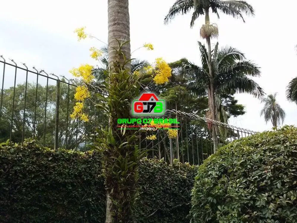 Casa, 4 quartos, 690 m² - Foto 8