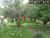 Fazenda, 254 hectares - Foto 1