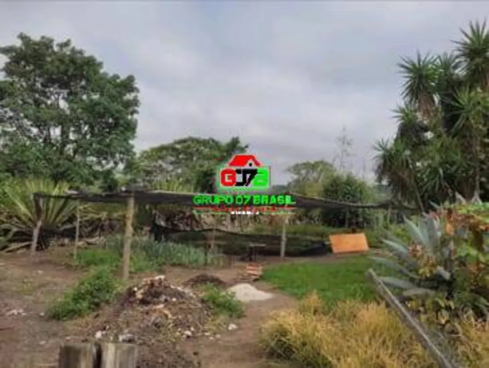 Terreno, 10 hectares - Foto 6