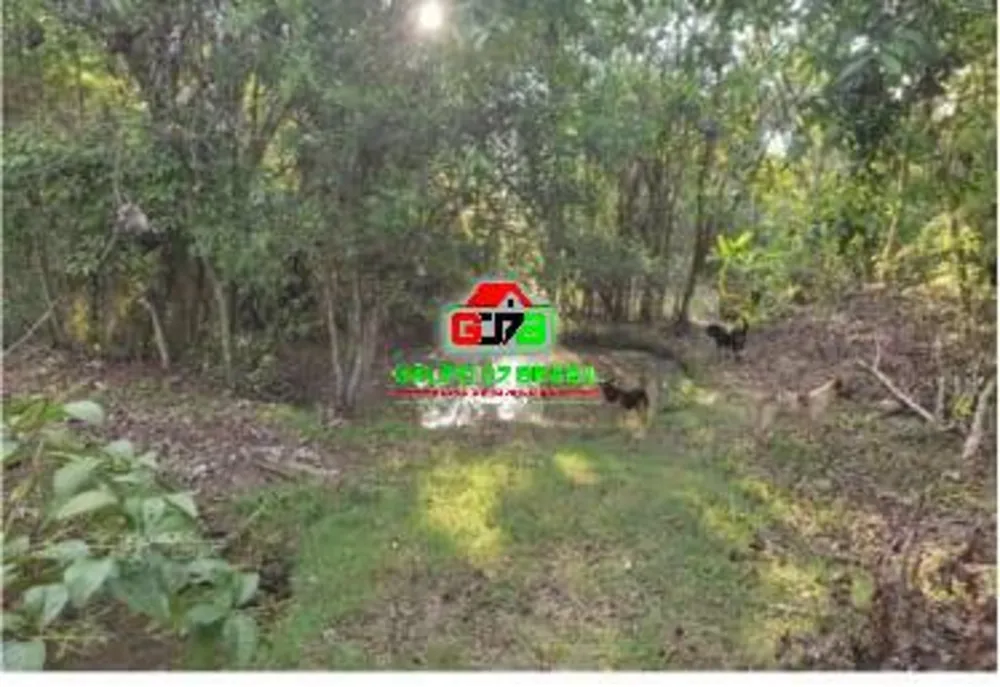 Terreno, 10 hectares - Foto 2