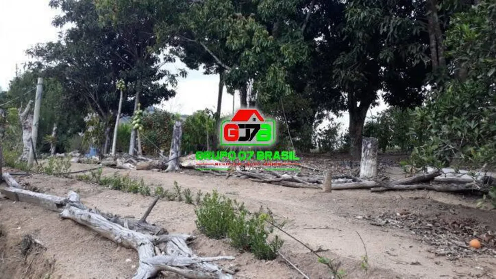 Terreno, 6200 m² - Foto 4