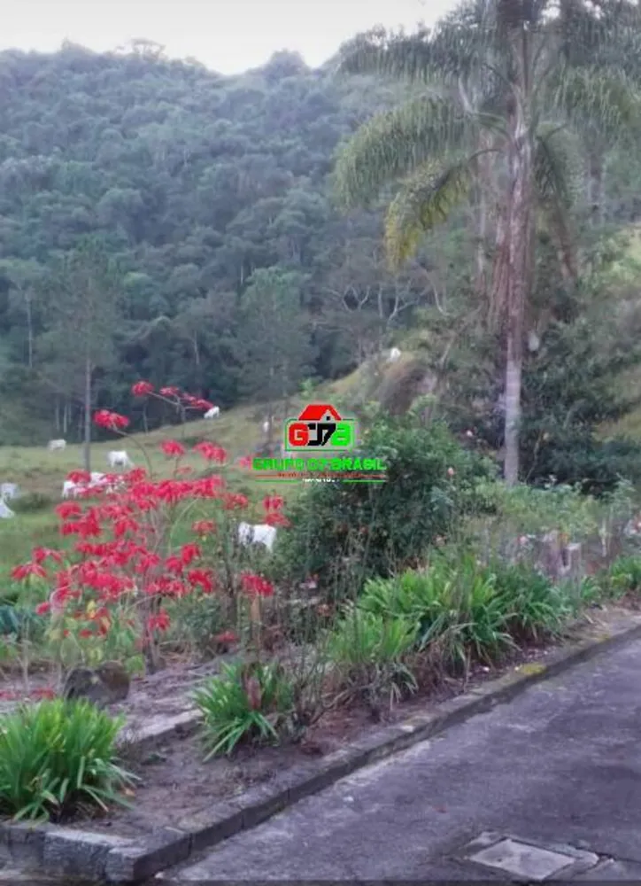 Terreno, 300 m² - Foto 3