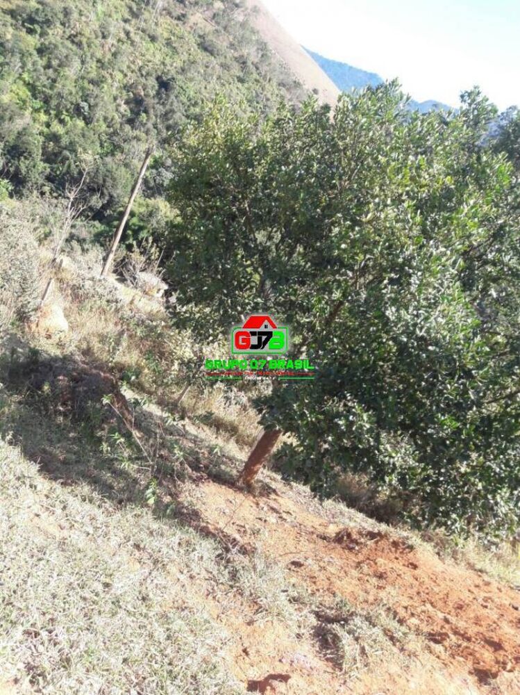Terreno, 2 hectares - Foto 10