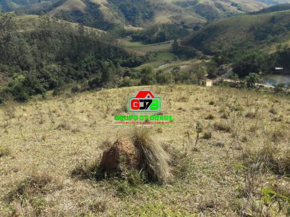 Terreno, 2 hectares - Foto 6