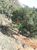 Terreno, 2 hectares - Foto 4