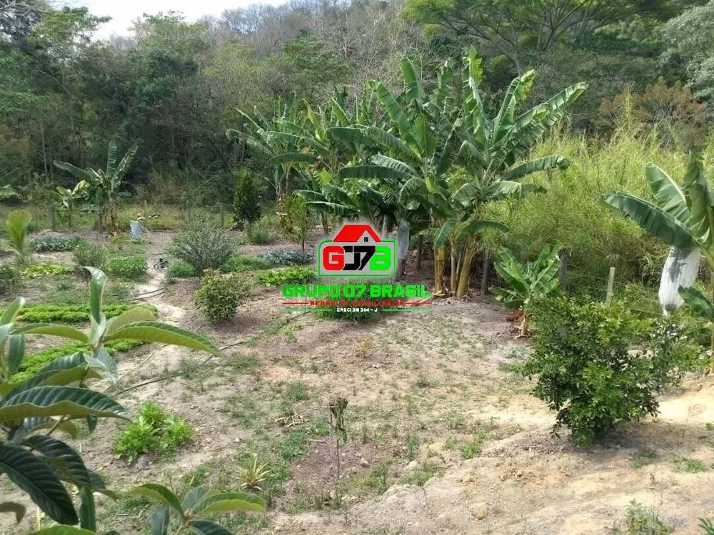 Chácara, 1 quarto, 2 hectares - Foto 3