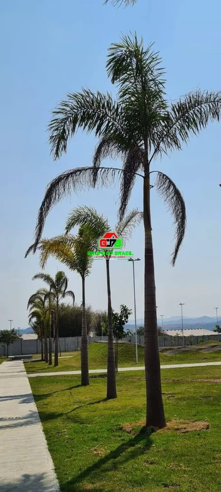 Terreno, 250 m² - Foto 8