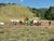 Terreno, 215 m² - Foto 2