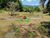 Terreno, 215 m² - Foto 10