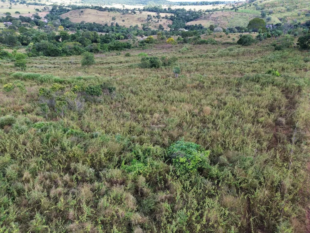 Chácara, 31 hectares - Foto 2