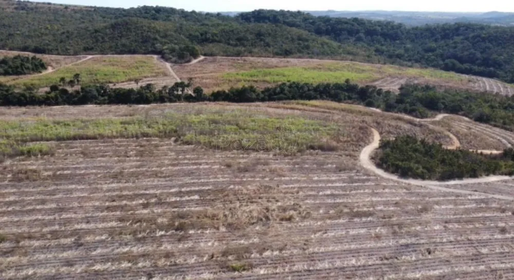 Fazenda - Foto 3