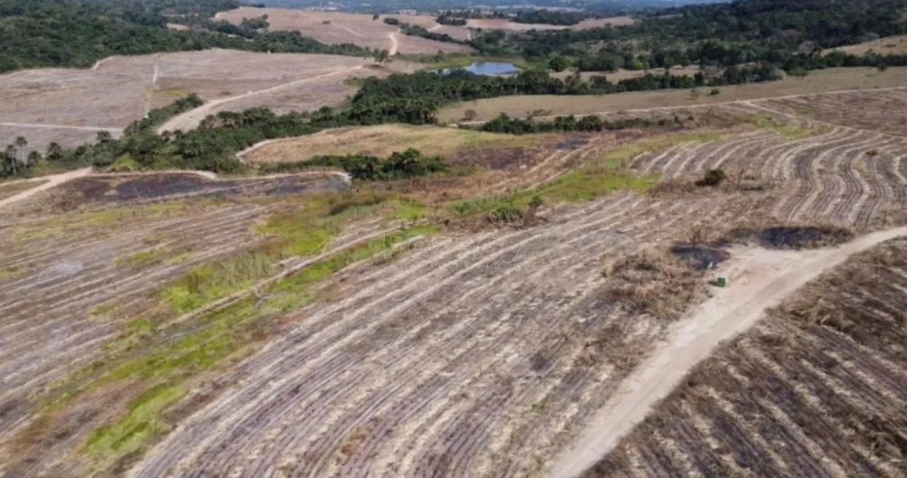 Fazenda - Foto 4