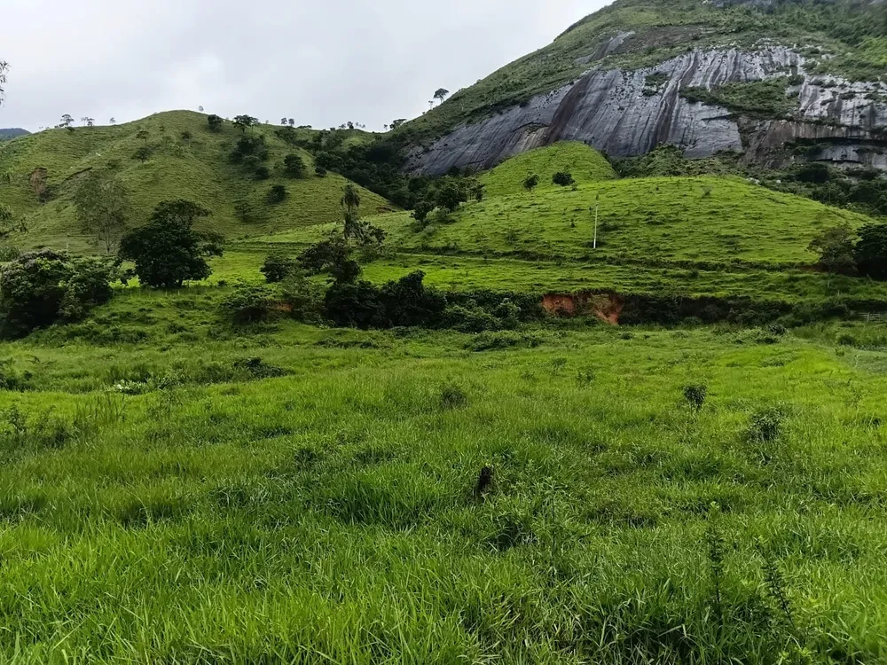 Terreno, 23 hectares - Foto 6