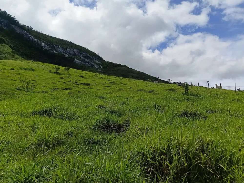 Terreno, 23 hectares - Foto 4
