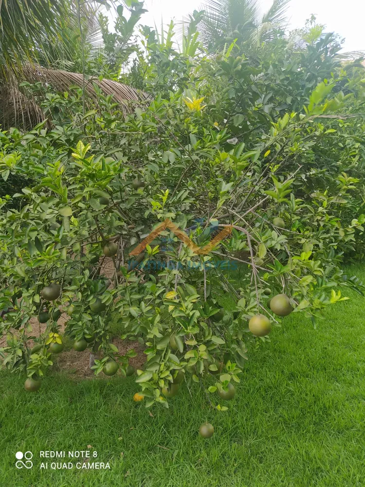 Chácara, 3 quartos, 1500 m² - Foto 7