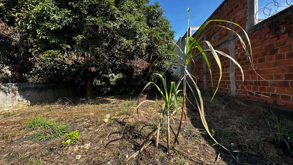 Terreno, 360 m² - Foto 6