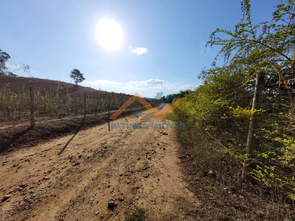 Fazenda à venda com 2 quartos, 2000m² - Foto 3