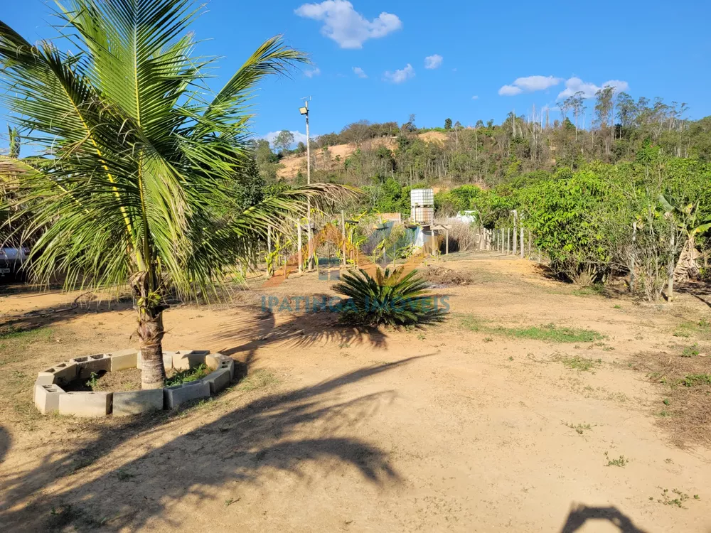 Fazenda à venda com 2 quartos, 2000m² - Foto 4