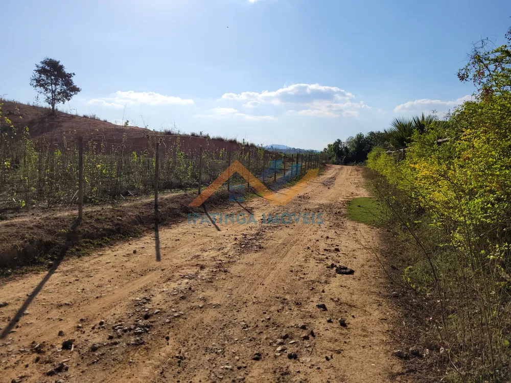 Fazenda à venda com 2 quartos, 2000m² - Foto 2