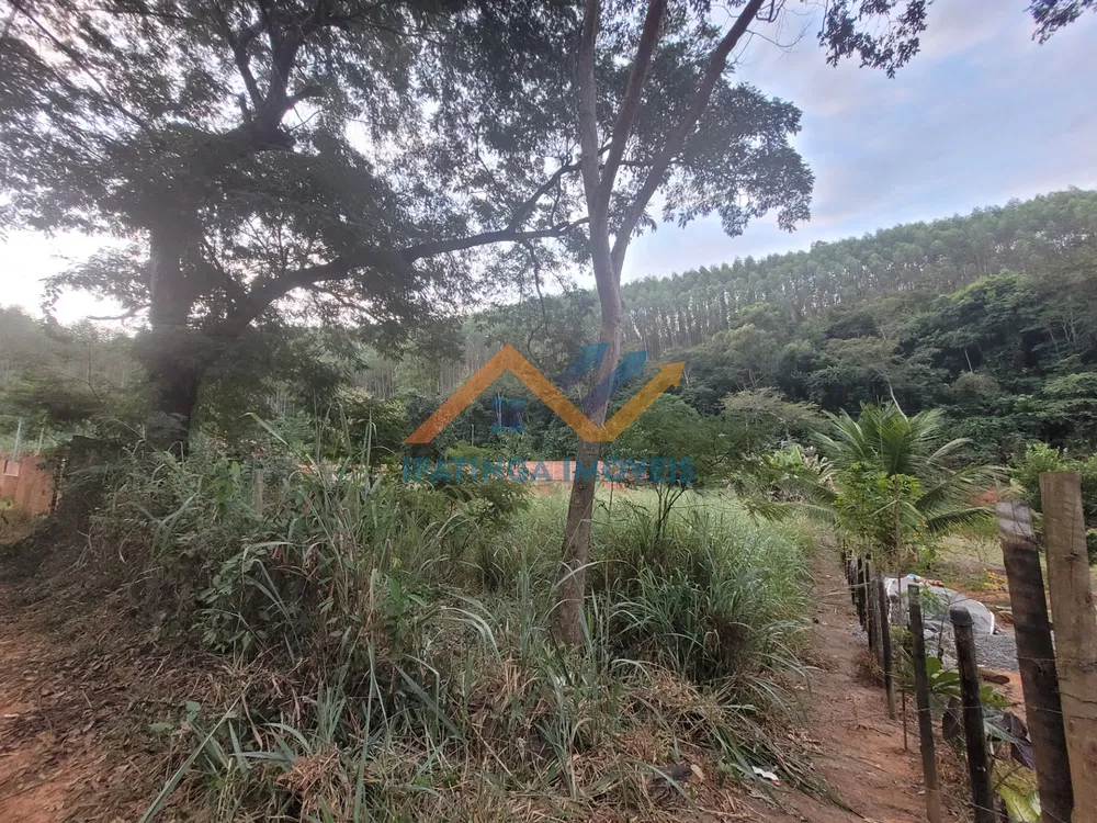 Chácara, 1000 m² - Foto 2