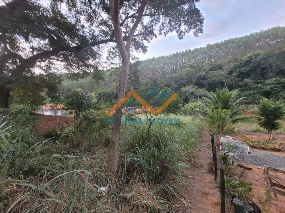 Chácara, 1000 m² - Foto 3