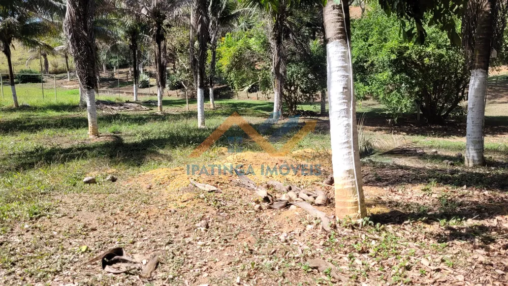 Chácara, 1 quarto, 1000 m² - Foto 6