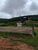 Fazenda, 78 hectares - Foto 3