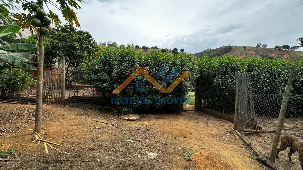 Chácara, 4 quartos, 4200 m² - Foto 16