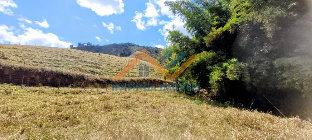 Fazenda, 52 hectares - Foto 7