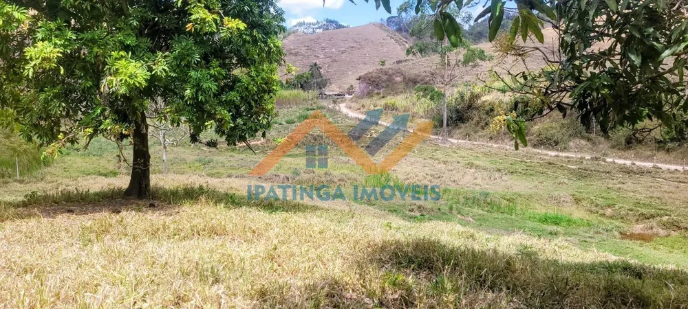 Fazenda, 52 hectares - Foto 11
