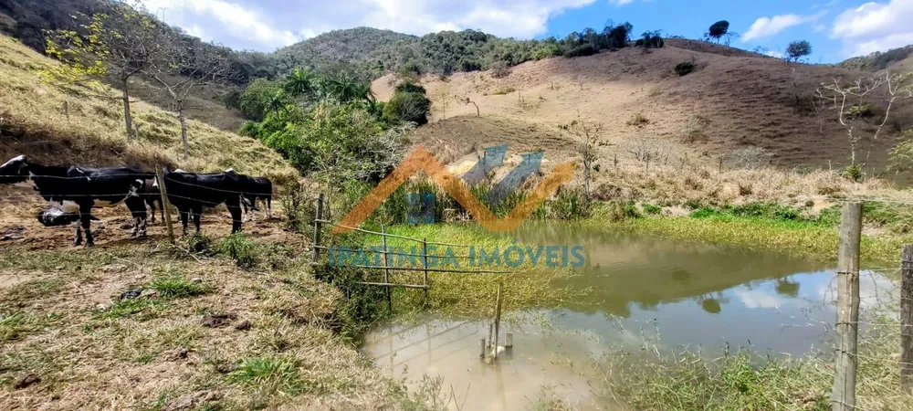 Fazenda, 52 hectares - Foto 9