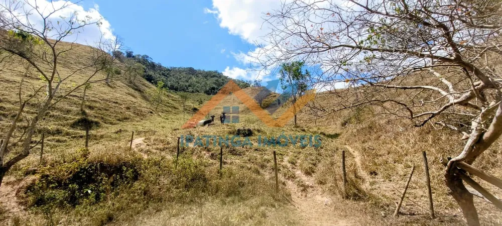 Fazenda, 52 hectares - Foto 12