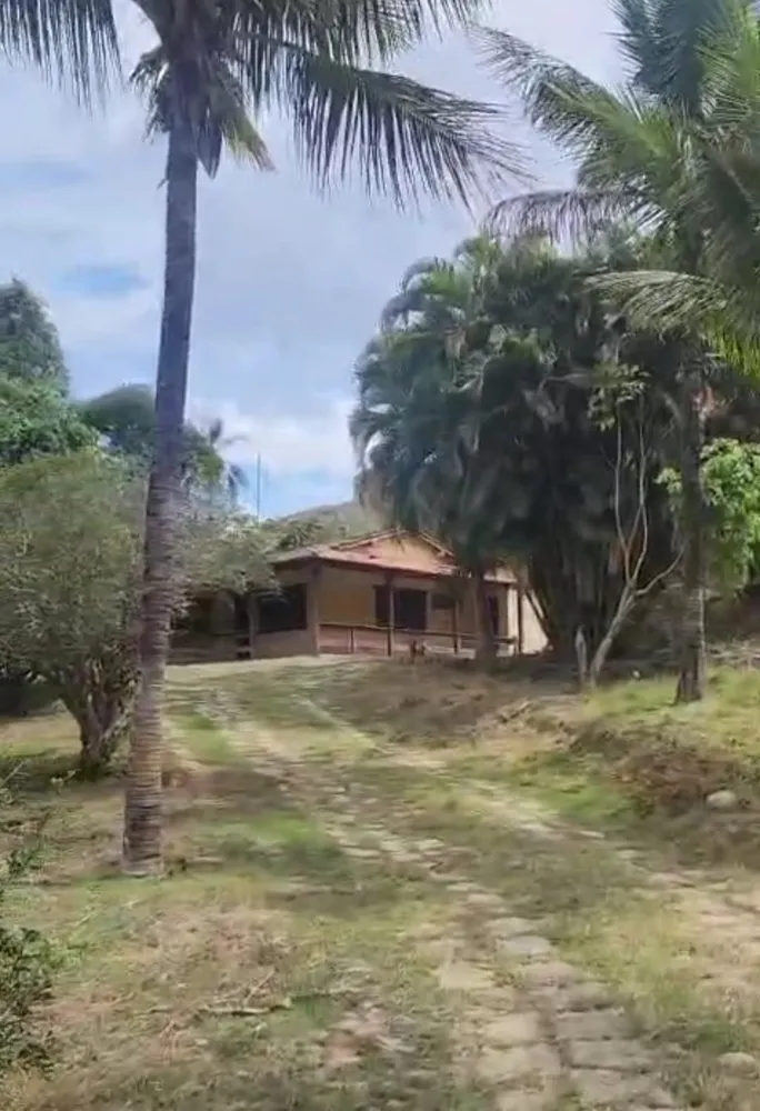 Fazenda, 43 hectares - Foto 2