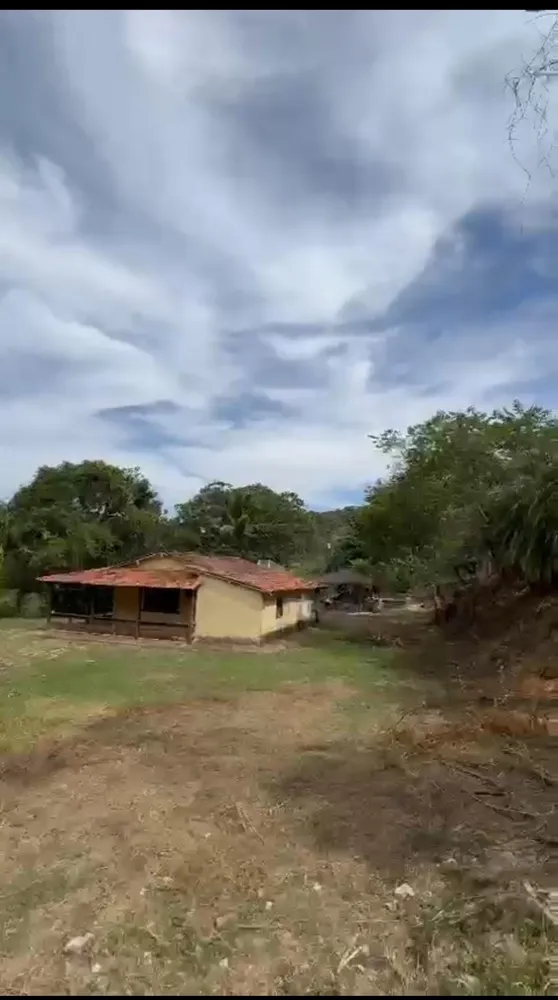 Fazenda, 43 hectares - Foto 3