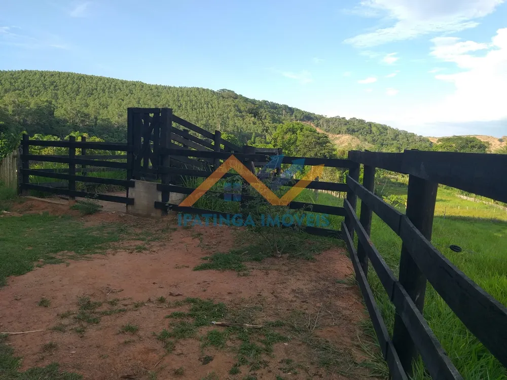 Chácara, 3 quartos, 6 hectares - Foto 11