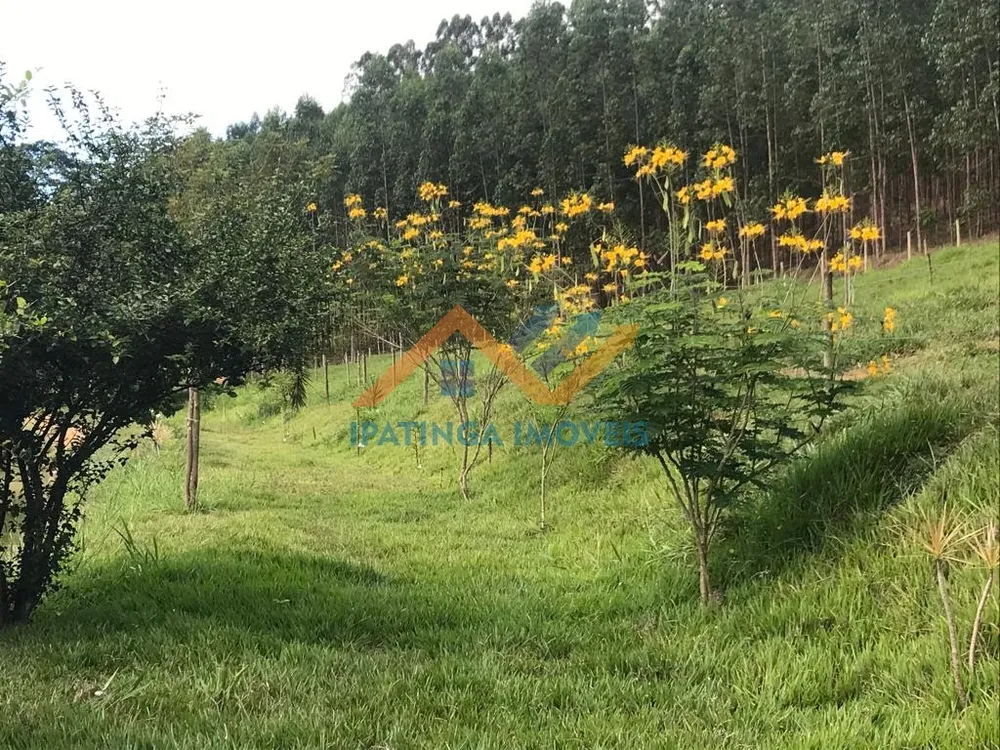 Chácara, 3 quartos, 6 hectares - Foto 8
