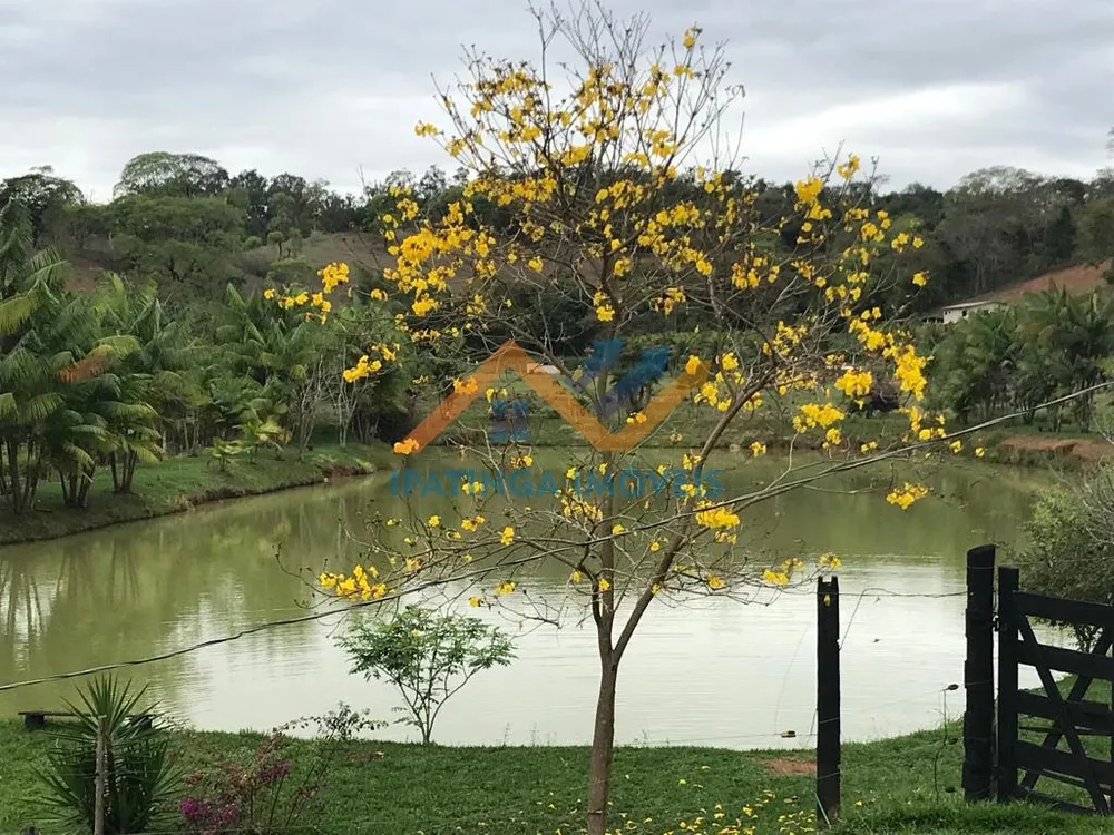 Chácara, 3 quartos, 6 hectares - Foto 4