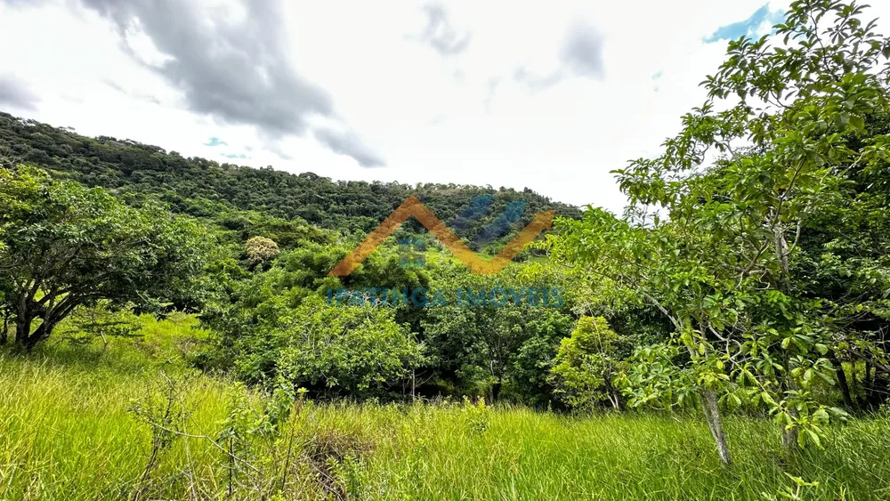 Terreno, 47 hectares - Foto 7