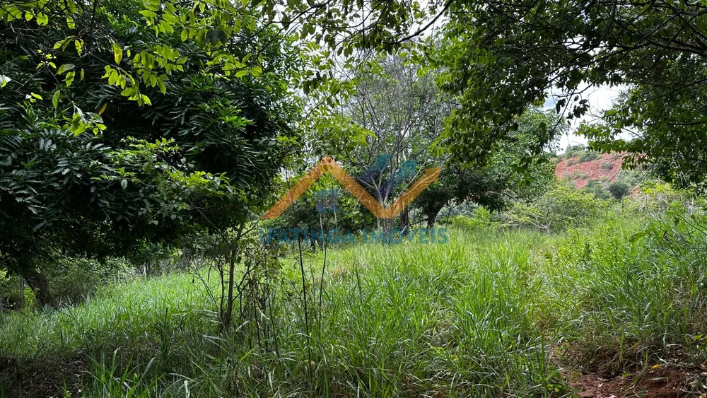 Terreno, 47 hectares - Foto 8