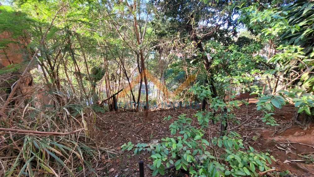 Casa, 4 quartos, 150 m² - Foto 7