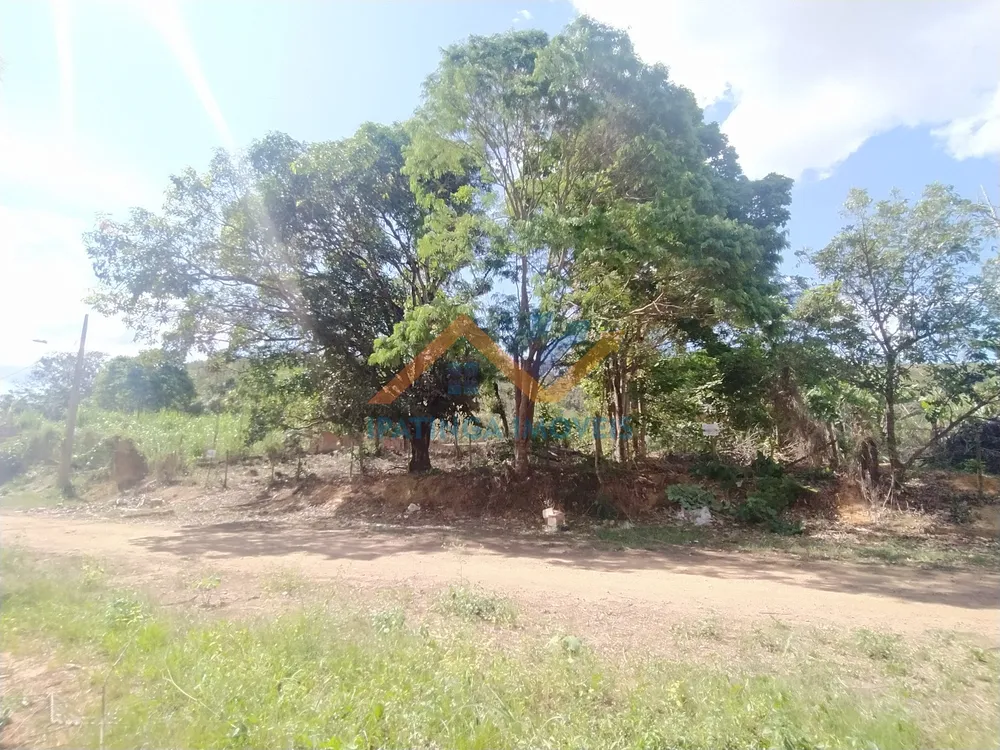 Terreno, 1000 m² - Foto 4