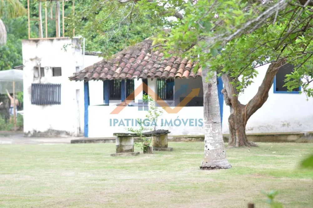 Sítio, 5 quartos, 10000 m² - Foto 5