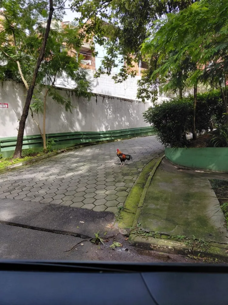 Apartamento, 2 quartos, 46 m² - Foto 2