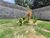 Casa, 2 quartos, 65 m² - Foto 1