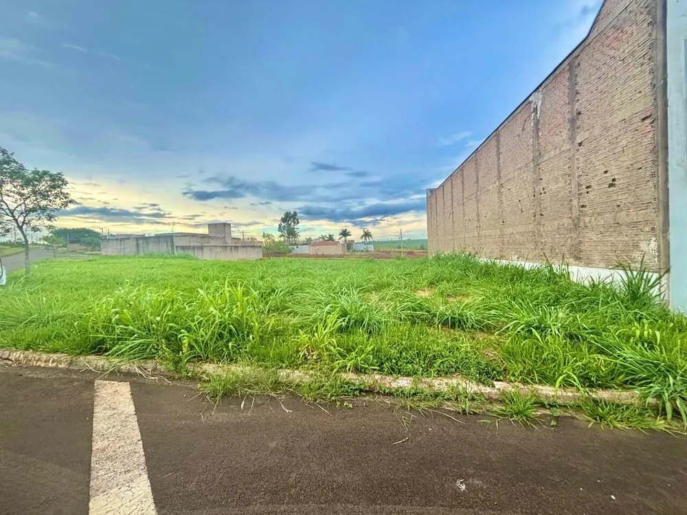 Terreno, 250 m² - Foto 1