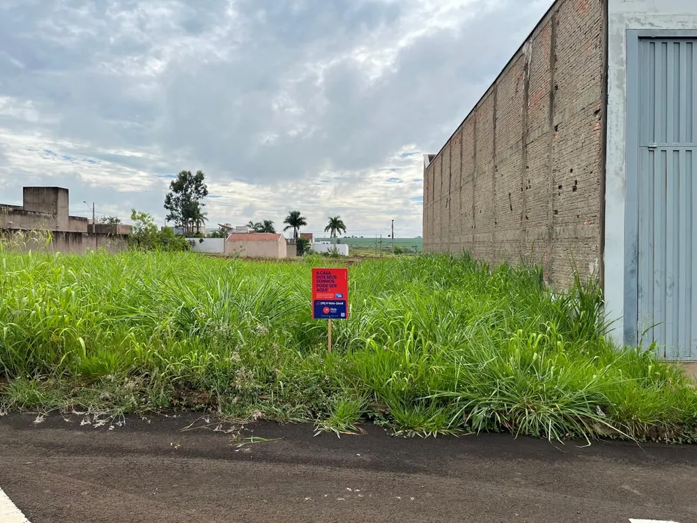 Terreno, 250 m² - Foto 3